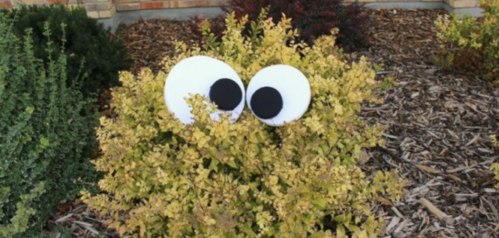Garden monsters, from DIY Halloween Decoration Ideas, lernin blog