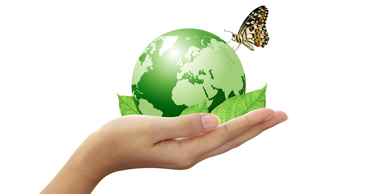 Lee más sobre el artículo Arte y Naturaleza